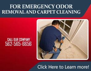 Stain Removal Service - Carpet Cleaning La Habra, CA