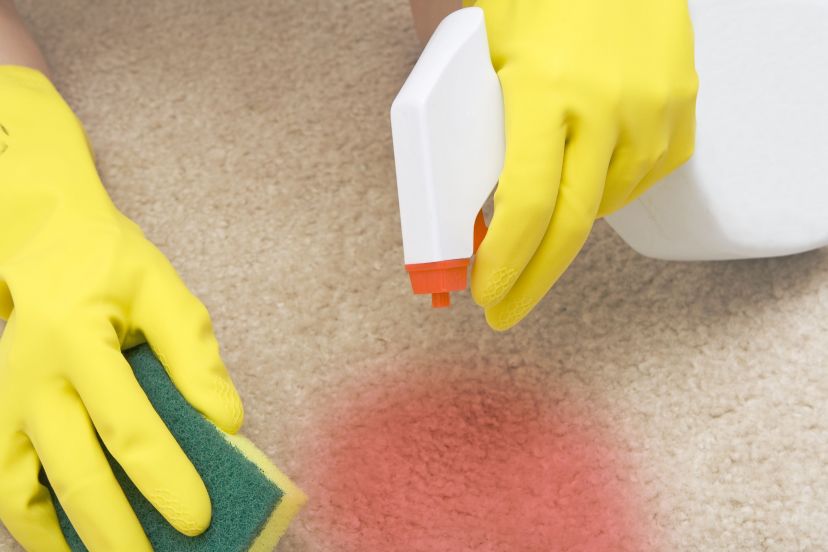 Ensuring Carpet Stain Removal